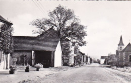 HAMPTEAU ( Hotton ) La Grand'rue - Hotton