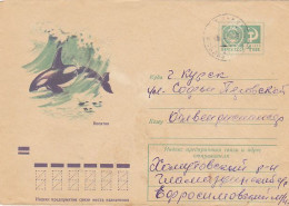 ANIMALS, MARINE MAMMALS, DOLPHINS, COVER STATIONERY, ENTIER POSTAL, 1973, RUSSIA - Whales