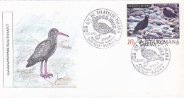 ANIMALS, BIRDS, BLACK OYSTERCATCHER, SPECIAL COVER, 1993, ROMANIA - Ooievaars