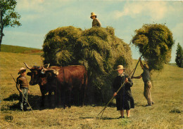 ATTELAGE DE BOEUFS LA FENAISON - Attelages