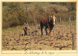 LE DEBUTAGE DE LA VIGNE ATTELAGE  - Attelages