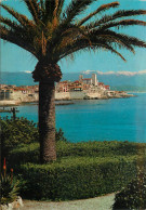 06 ANTIBES - Antibes - Altstadt