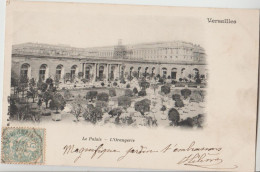 France - Versailles - Le Palais - L'Orangerie - TCV - Other & Unclassified