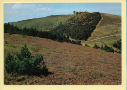 30. LE MONT AIGOUAL – Les Champs De Bruyère Pris De La Fageolles (voir Scan Recto/verso) - Valleraugue