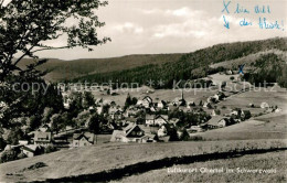 43517694 Obertal Baiersbronn Panorama Obertal Baiersbronn - Baiersbronn