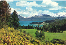 LAKE WAKATIPU, SOUTH ISLAND, MOUNTAIN, SHEEP, NEW ZEALAND, POSTCARD - Nuova Zelanda