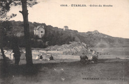 22-ETABLES-N°3890-A/0093 - Etables-sur-Mer