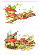 Dominica 2 Blocks Pilze - Mushrooms