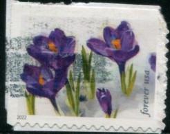 VEREINIGTE STAATEN ETATS UNIS USA 2022 SNOWY BEAUTY: CROCUSES F USED ON PAPER SN 5729 YT 5596 MI 5989 - Gebraucht