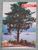 80s-PERAST-Crna Gora-Town In MONTENEGRO-Vintage Postcard-Unused - Montenegro