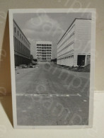 Foto Italia Roma EUR 1953. 85x60 Mm. - Europe