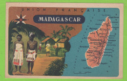 - Union Française - MADAGASCAR - CHROMO DIDACTIQUE  Verso - LION NOIR - FORMAT CPA - Sammlungen & Sammellose