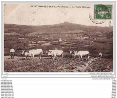 CPA - Saint-honoré-les-bains - (58 Nièvre) - La Vieille Montagne - Charrue /boeuf - (ref 1321) - Attelages