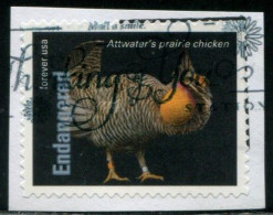 VEREINIGTE STAATEN ETATS UNIS USA 2023 ENDANGERED SPECIES:ATTWATER'S PRAIRIE CHICKEN USED PAPER MI 6067 YT 5664 SN 5799P - Gebraucht