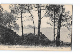 CARANTEC - 513 - Le Bois De Sapins, Vue Sur La Baie De Morlaix - ND - Très Bon état - Carantec