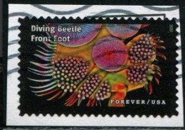 VEREINIGTE STAATEN ETATS UNIS USA 2023 LIFE MAGNIFIED: DIVING BEETLE FRONT FOOT F USED ON PAPER MI 6093 YT 5690	SN 5802I - Gebraucht