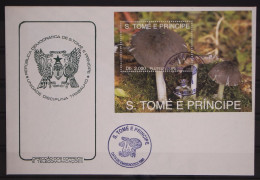 Sao Tome E Principe Block 296 Gestempelt Als FDC / Pilze #GC175 - São Tomé Und Príncipe