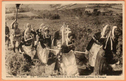 29 - B34795CPA - LOCRONAN - La Procession De La Grande Troménie Gravissant La Montagne - Très Bon état - FINISTERE - Locronan