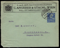 AUSTRIA(1918) Chemicals For Photography. 25 Heller Entire With Advertisement For C. Angerer & Goschl. - Covers