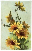 CATHARINA KLEIN : SUNFLOWERS / LONDON, STREATHAM, LEIGHAM COURT ROAD, (LUPRON) - Klein, Catharina