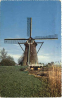 Hollandse Molen - Mulini A Vento