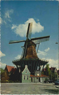 Holandse Molen - Windmühle - Mulini A Vento