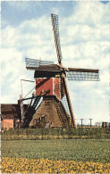 Holandse Molen - Windmühle - Mulini A Vento