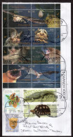 Argentina - 2024 - Letter - Murcielagos - Bats - Modern Stamps - Diverse Stamps - Front & Back Letter - Covers & Documents