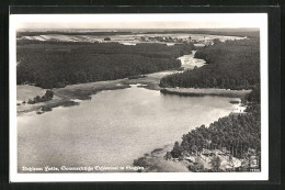 AK Ochsensaal / Sachsen, Dahlener Heide, Luftaufnahme  - Dahlen