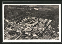 AK Saalburg / Taunus, Römer-Kastell Aus Der Vogelschau  - Taunus