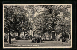 AK Oegstgeest, In Het Wilhelminapark  - Sonstige & Ohne Zuordnung