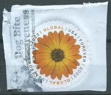 VERINIGTE STAATEN ETATS UNIS USA 2022 GLOBAL AFRICAN DAISY USED ON PLASTIC SN 5680 YT 5514 - Used Stamps
