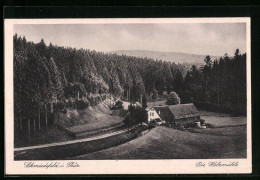 AK Schmiedefeld I. Thür., Partie An Der Holzmühle Am Waldrand  - Schmiedefeld