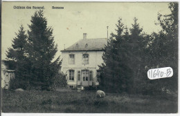 LA BRUYERE- BOVESSE- CHATEAU DES BOESNEL - La Bruyère