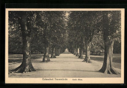 AK Travemünde, Blick Auf Die Grosse Allee  - Luebeck-Travemuende