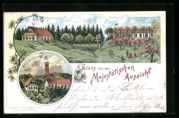 Lithographie Heimfeld / Harburg, Aussichtsturm, Gasthof Majestätische Aussicht  - Harburg