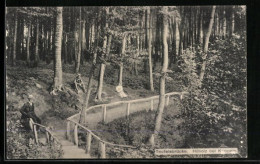 AK Kappeln, Hüholz, Ansicht Teufelsbrücke  - Kappeln / Schlei