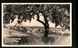 AK Espenschied /Rheingau, Ortsansicht Aus Der Ferne Mit Blick Auf Die Kirche  - Rheingau