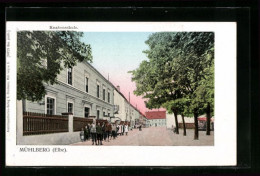 AK Mühlberg /Elbe, Knabenschule  - Muehlberg