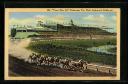 AK Inglewood, California, There They Go, Hollywood Turf Club  - Hippisme