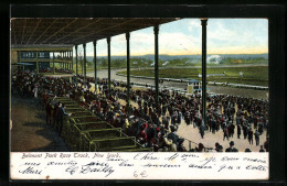 AK New York, Belmont Race Track, Blick Auf Die Rennbahn Vom Publikum Aus  - Hippisme