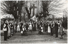 56. Pf. Groupe Folklorique De PONTIVY. Le Cercle Celtique - Pontivy