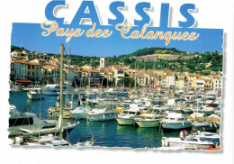 CPM FRANCE 13 BOUCHES-DU-RHONE CASSIS - Le Port - Cassis
