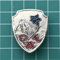 Badge Pin ZN013277 - Alpinism Mountaineering Hiking France CAF Club Alpin Francais - Alpinisme, Beklimming