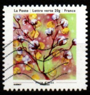 FRANCE   -   2013.  Y&T N° 905 Oblitéré.    Cotonnier - Used Stamps