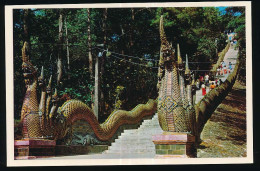 CPSM / CPM 10.5 X 15 Thaïlande (12) Wat Phrathat Doi Suthep, Chieng Mai Province, Northern Thailand  Temple Serpent-roi - Thaïland