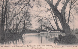 94 - CRETEIL - L'embouchure Du Chapitre Et L'arbre Penché - Creteil