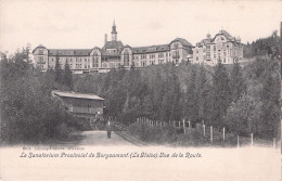 Stoumont - Le Sanatorium Provincial BORGOUMONT - Vue De La Route - Stoumont