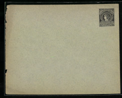 Briefumschag Frankfurt A. M., Priv. Circular Post, Friedensstr. 5, Private Stadtpost  - Briefmarken (Abbildungen)