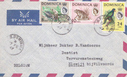 From Dominica To Belgium - 1967 - Dominica (...-1978)